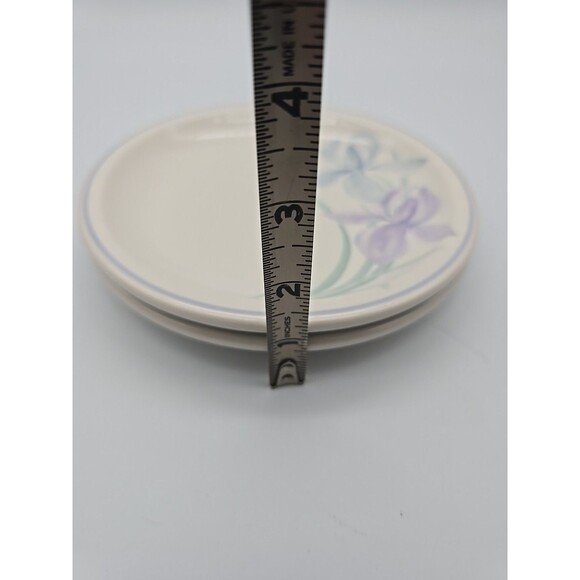 Set of 2 Pfaltzgraff Spring Song Iris 6.5” Bread Cake Plates USA NICE - Picture 5 of 6